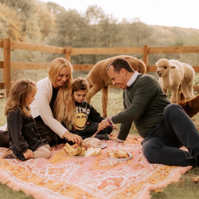 Eine Familie sitzt auf einer Picknickdecke während eines Alpaka-Fotoshootings.